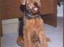Remington