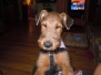 Roxy